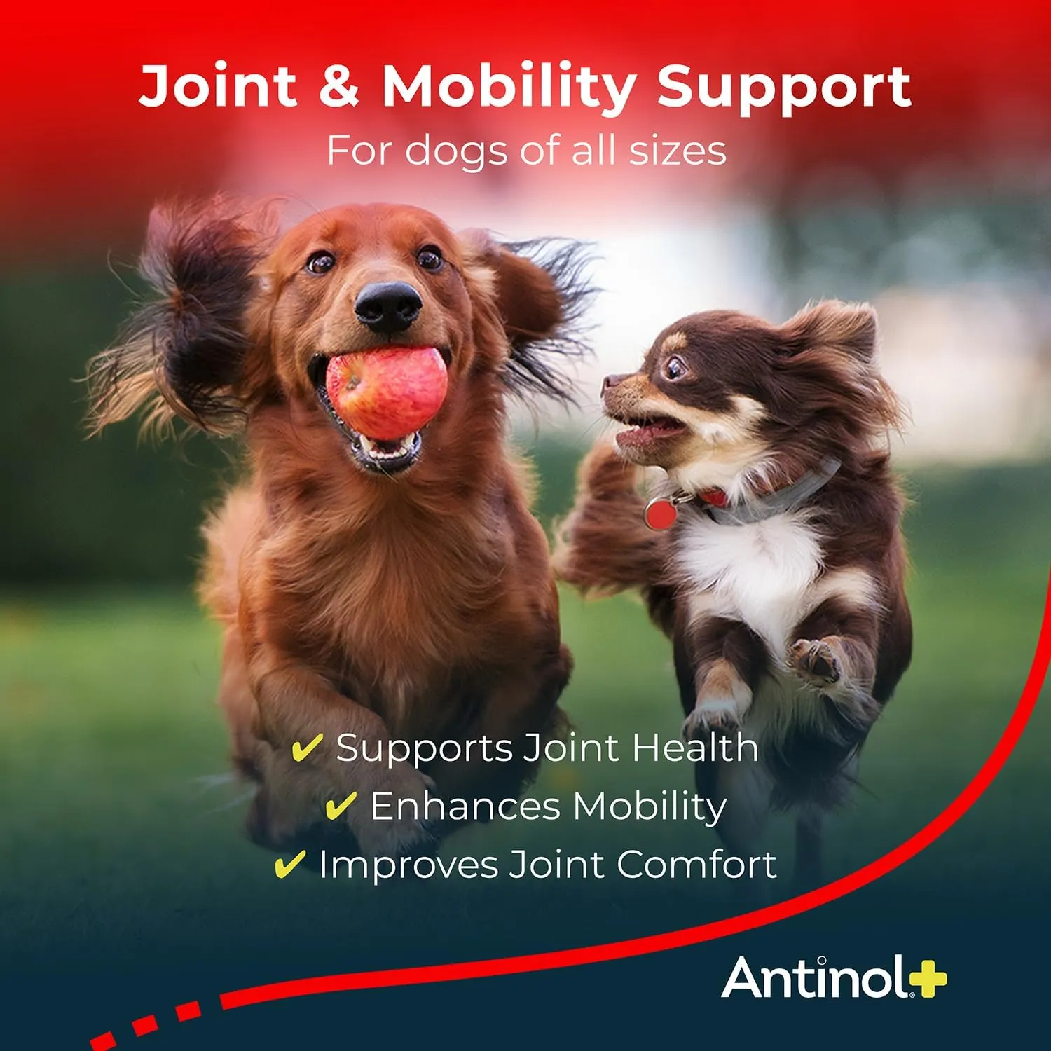 Antinol Plus for Dogs - Hip & Joint Mobility Supplement Capsules