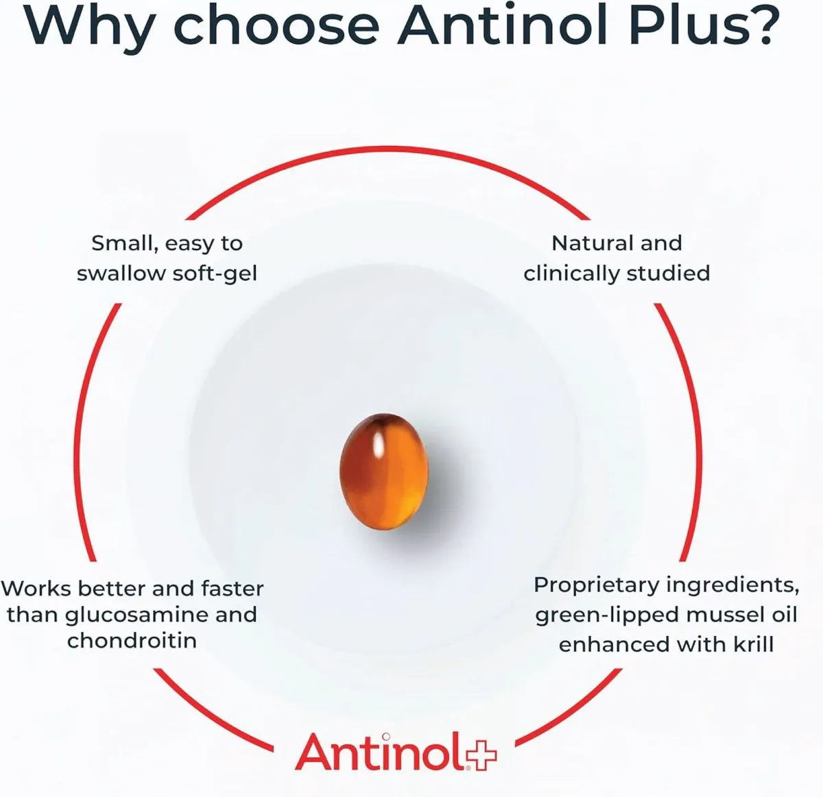 Antinol Plus for Dogs - Hip & Joint Mobility Supplement Capsules