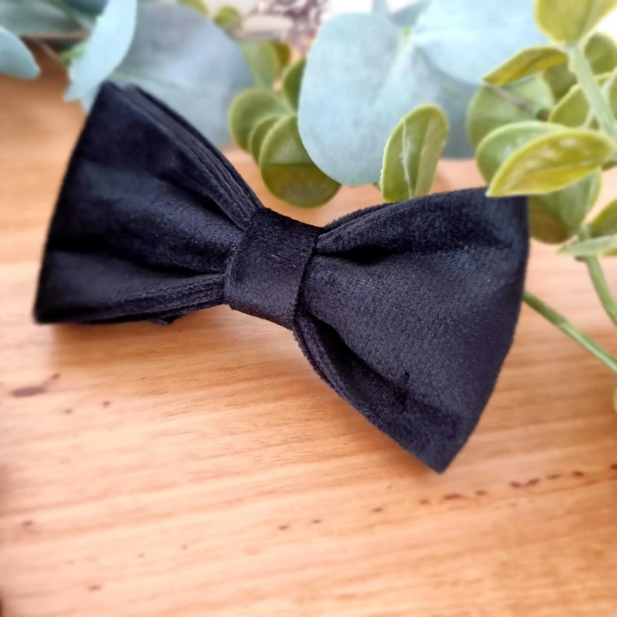 Black bow tie for dogs - Velvet