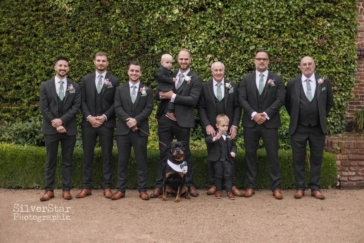Bottle Green Dog Bow Tie