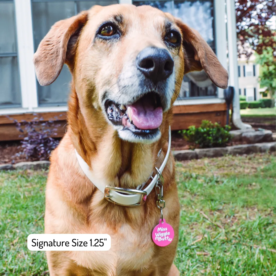 Charming Nutcase Funny Dog Tag