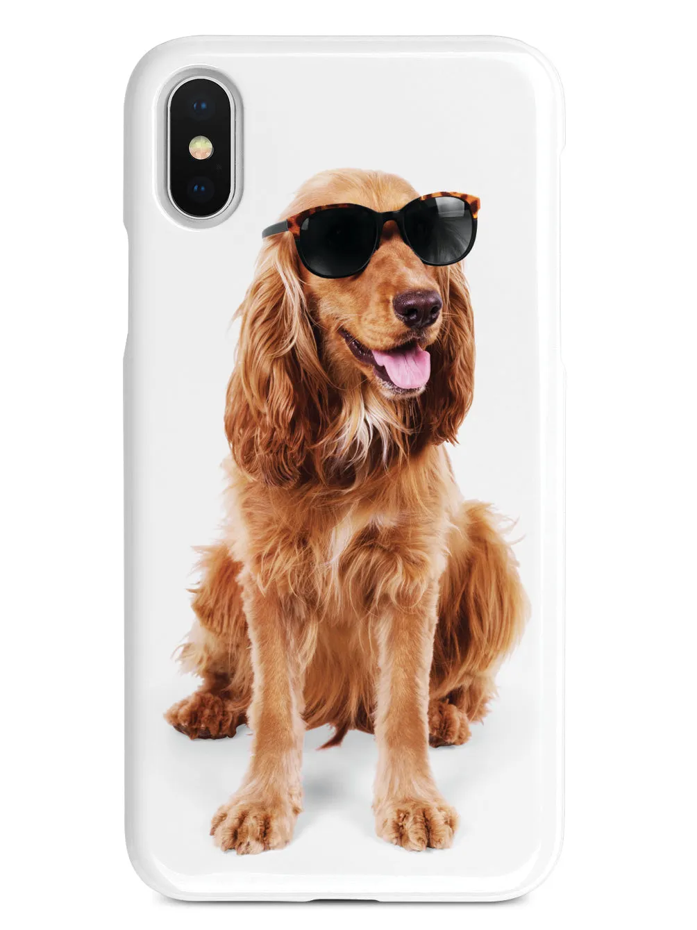 Cocker Spaniel with Sunglasses Case
