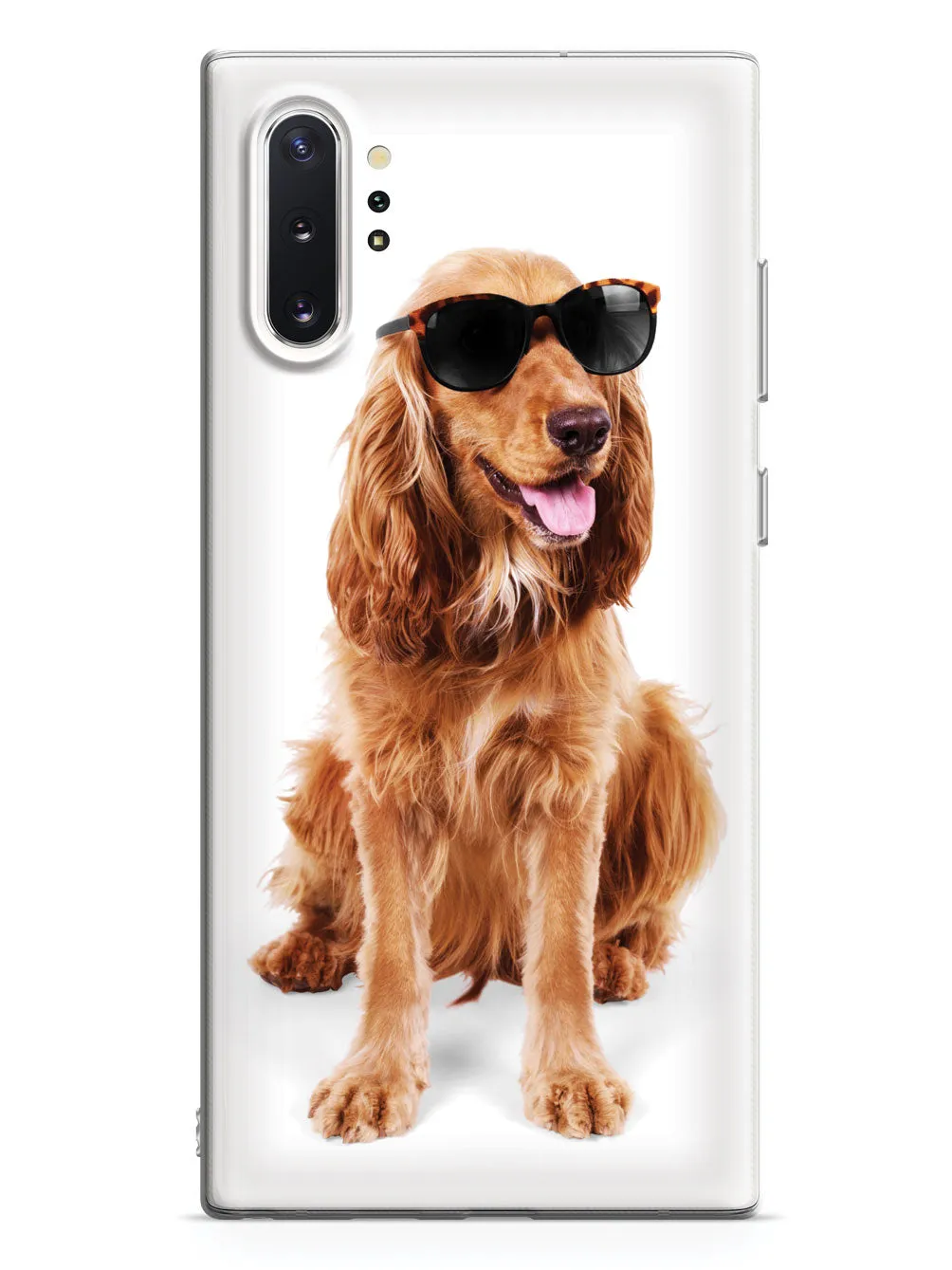 Cocker Spaniel with Sunglasses Case