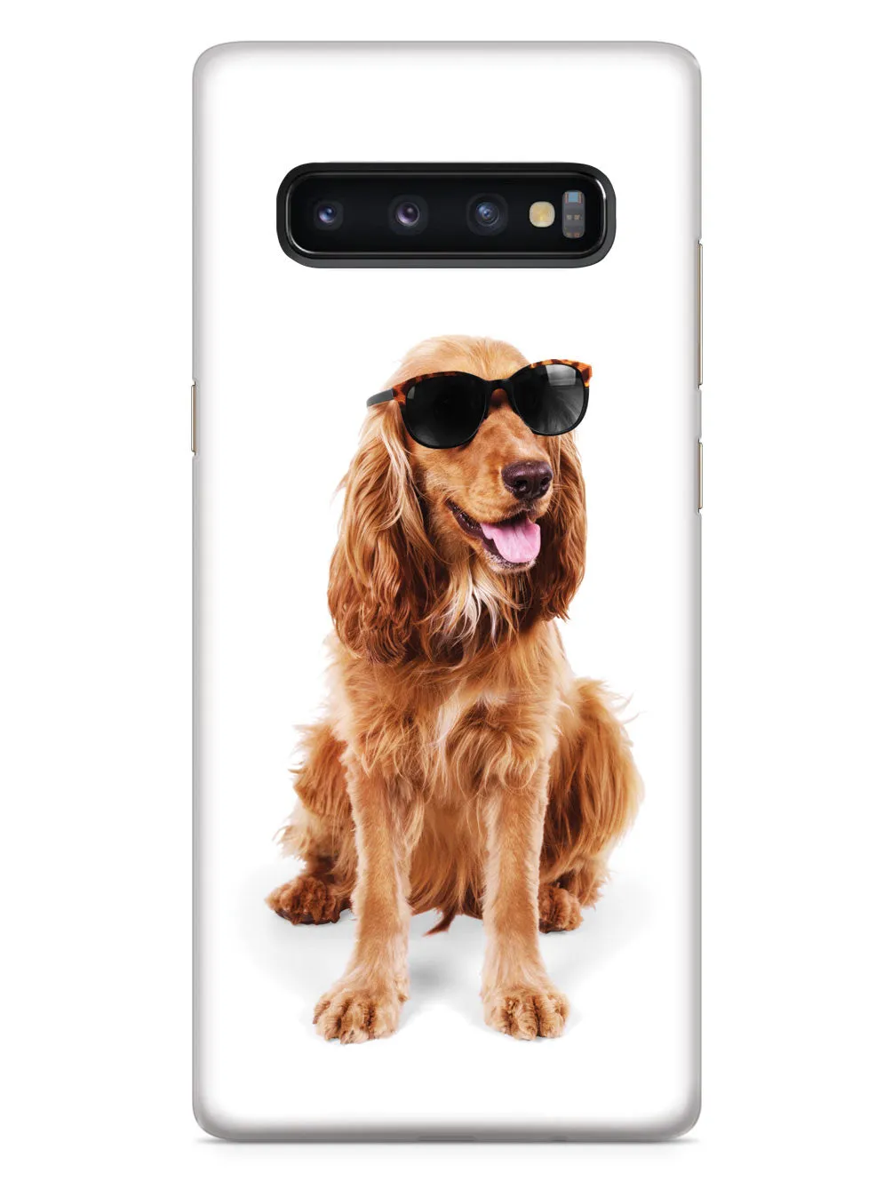 Cocker Spaniel with Sunglasses Case