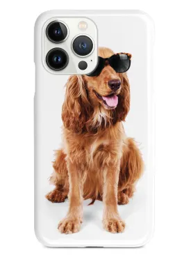 Cocker Spaniel with Sunglasses Case