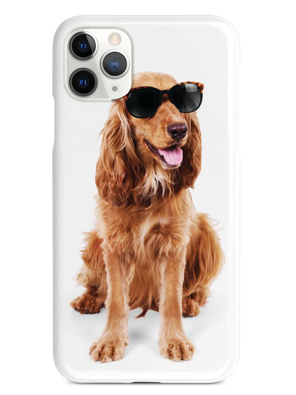 Cocker Spaniel with Sunglasses Case