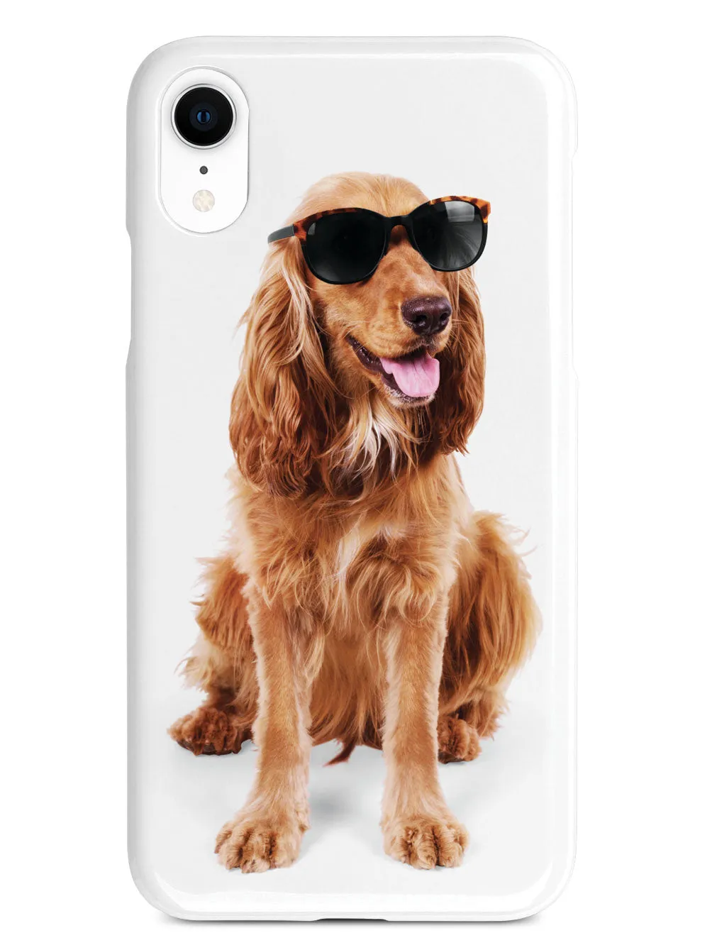Cocker Spaniel with Sunglasses Case