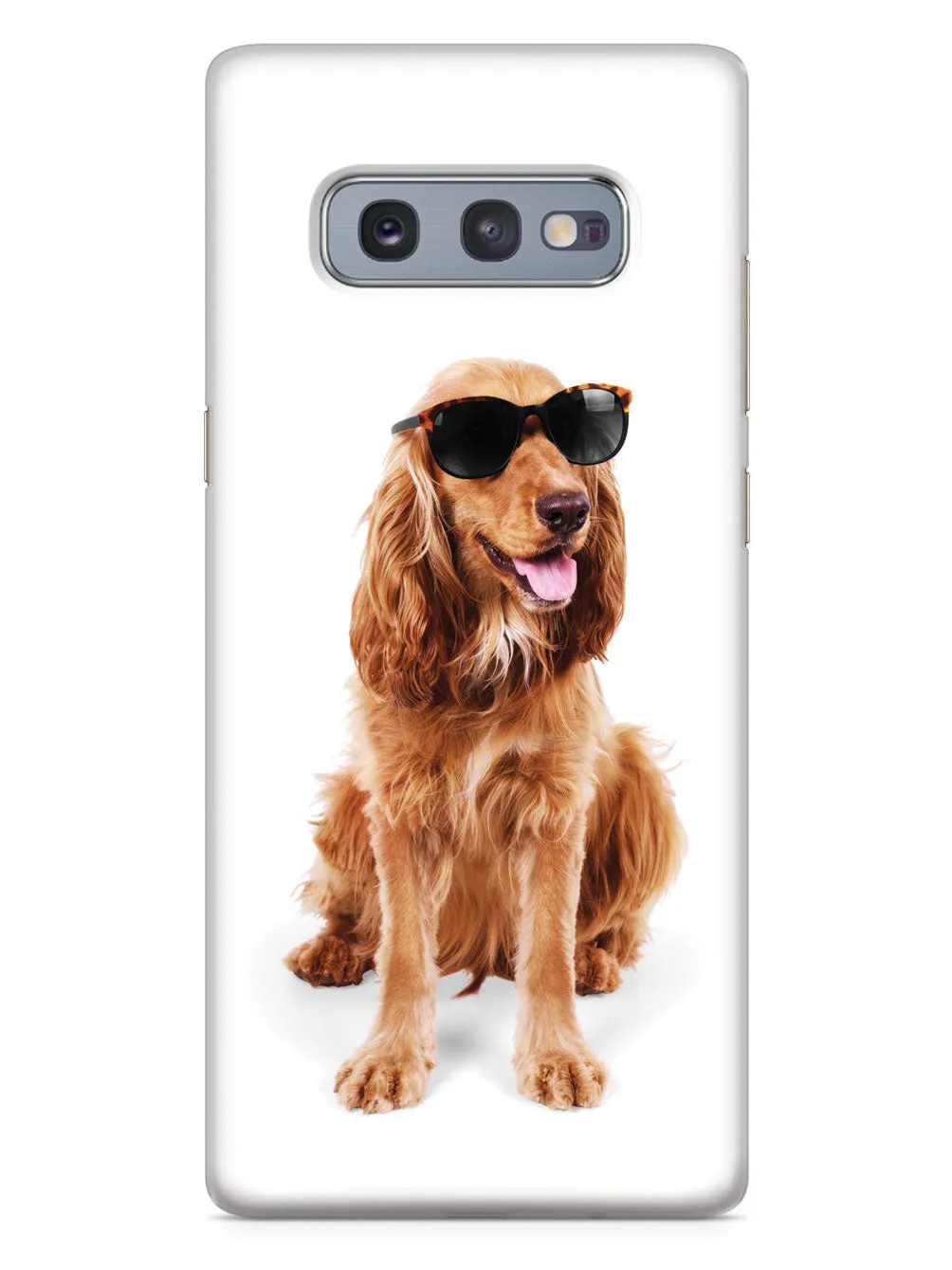 Cocker Spaniel with Sunglasses Case