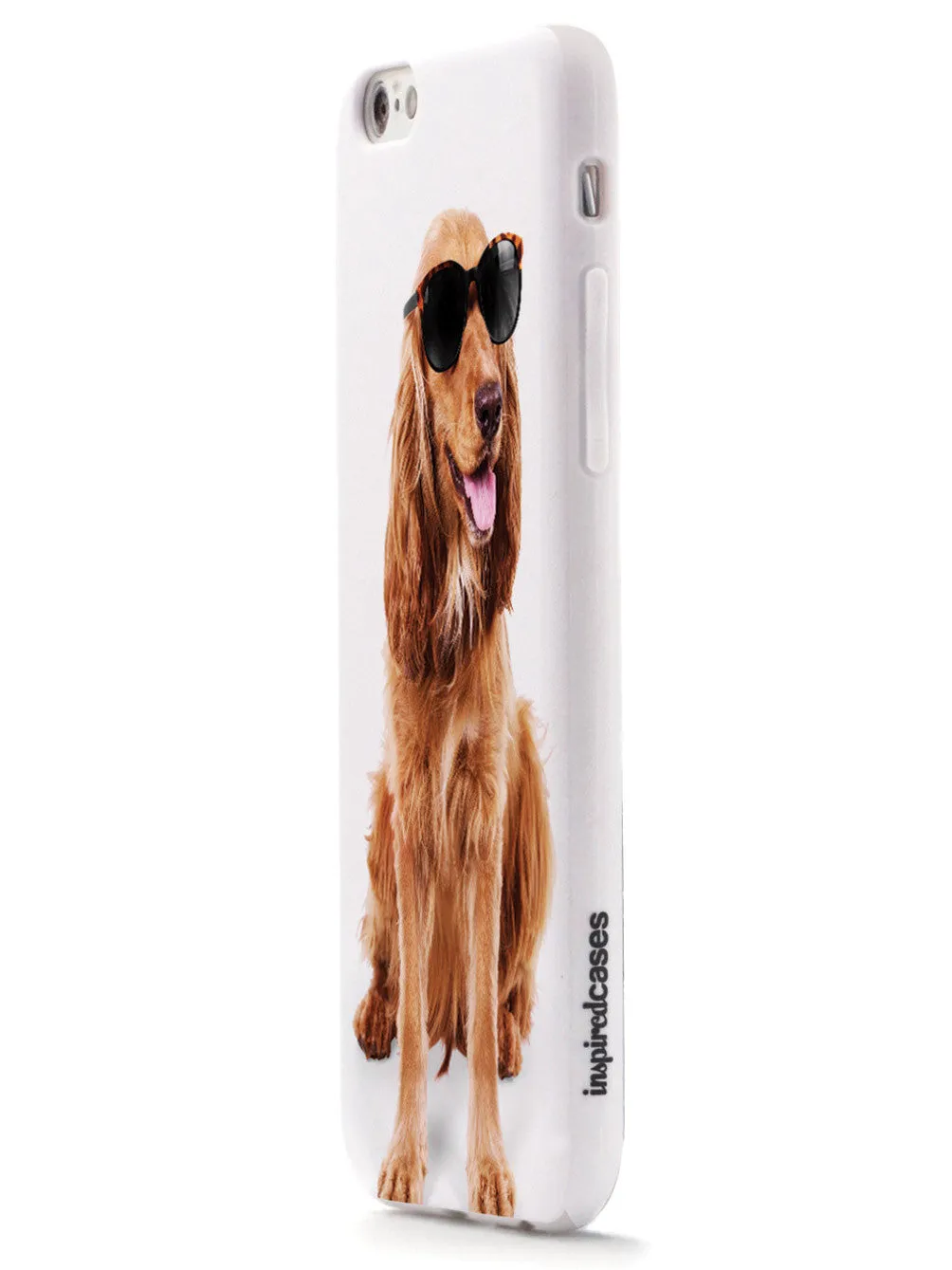 Cocker Spaniel with Sunglasses Case