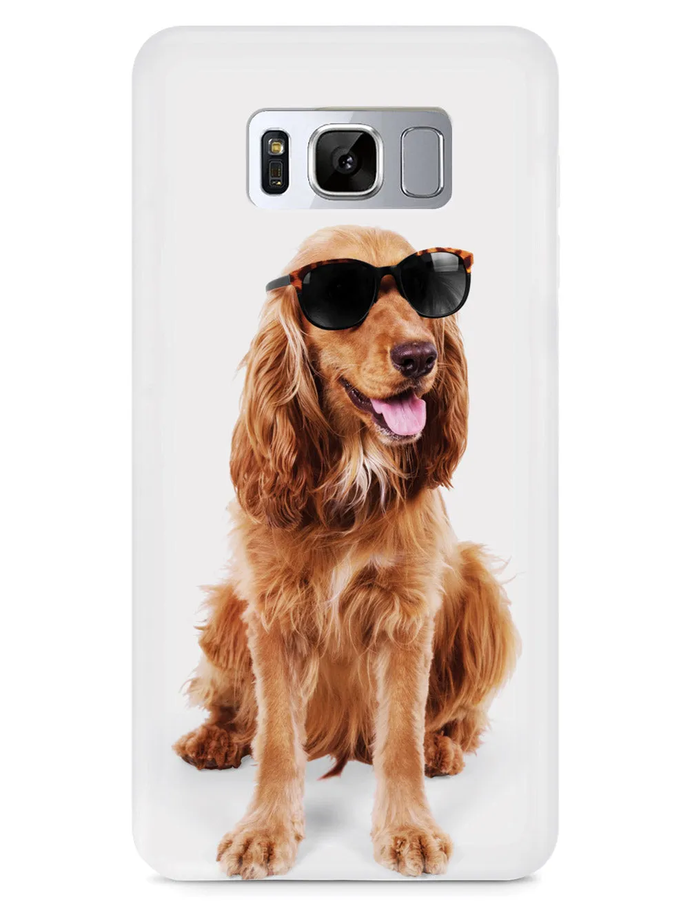 Cocker Spaniel with Sunglasses Case