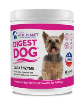 Digest Dog Pets
