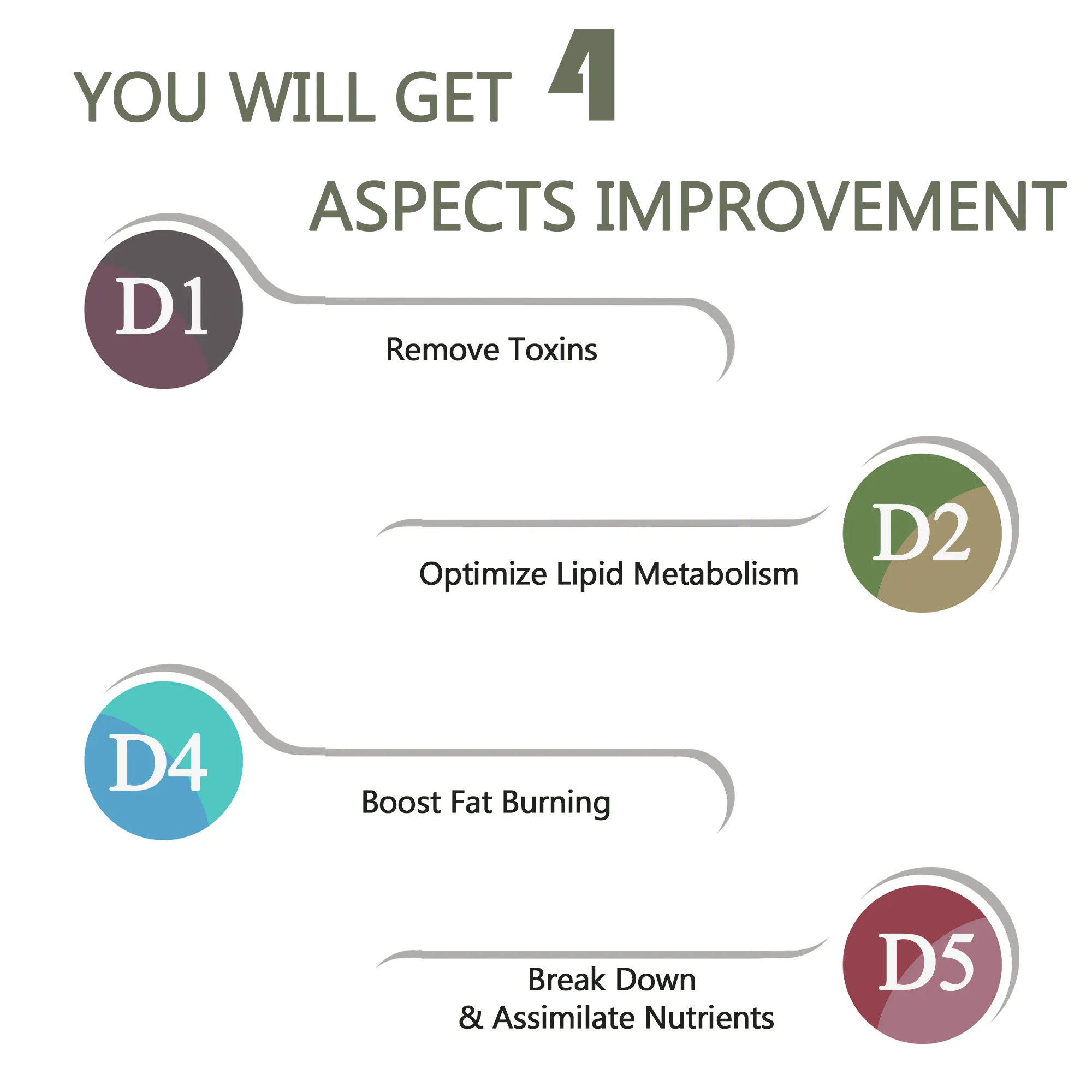 Digestive Conditioning Set by A Quality Life Nutrition