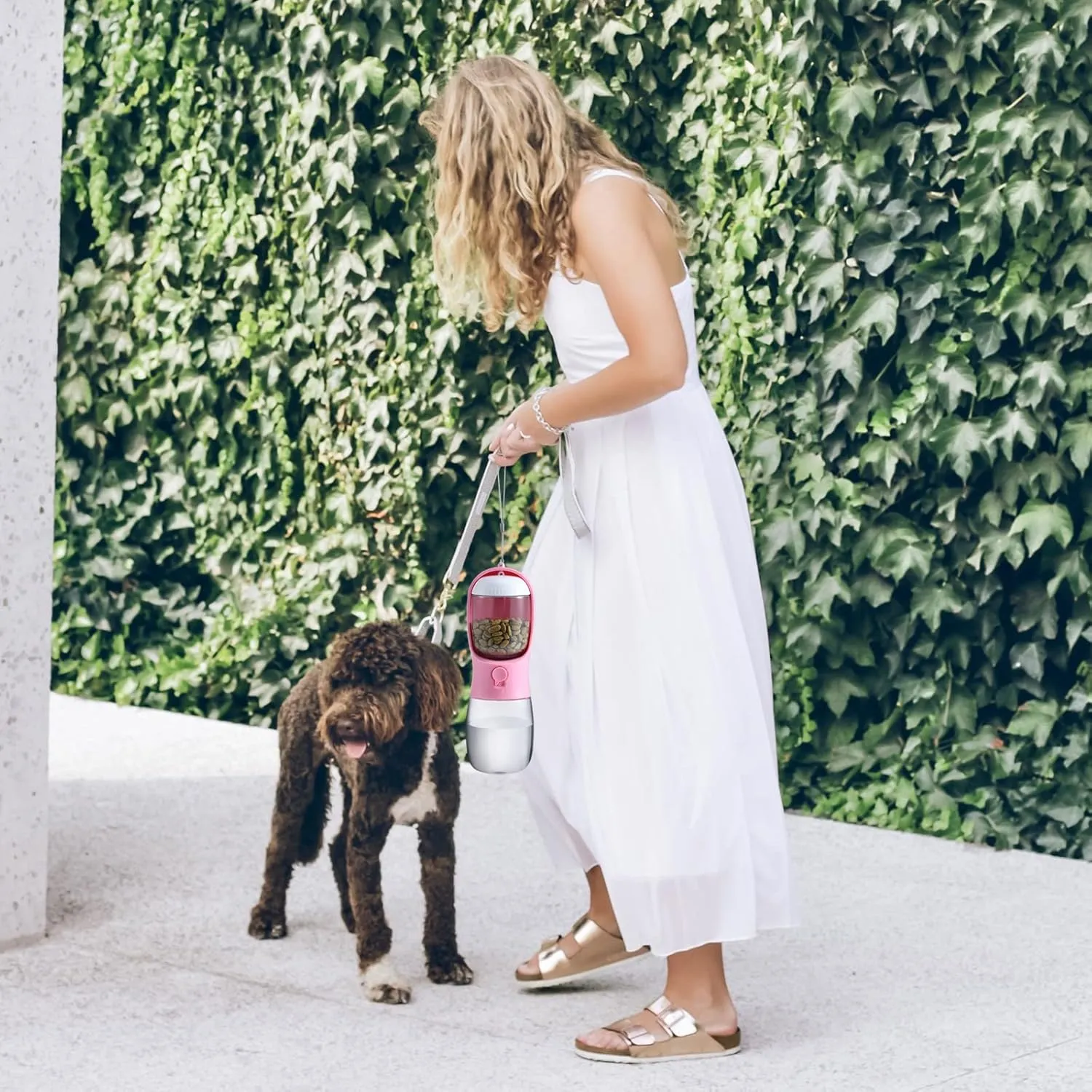 Dog Water Bottle with Food Container, Travel Puppy Water Bowl, Portable Pet Dispenser, Puppy Essentials for Walking and Hiking