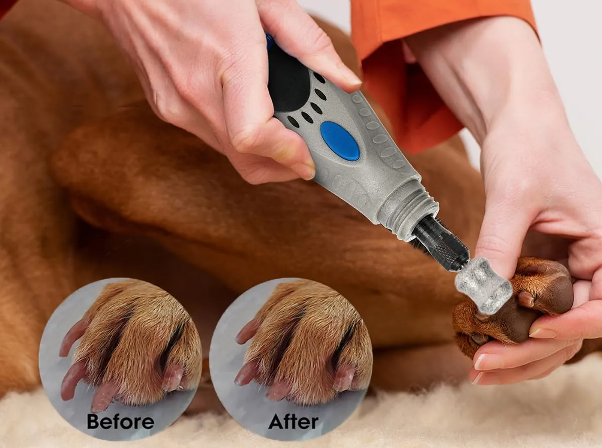 for Dremel Dog Nail Grinder - 1/8'' Diamond Pet Nail Grinder Attachment - Safe and Painless Nail Grinder Bits Won't Pull Hair or Get Hot for Large Medium Small Dogs Claw Grooming