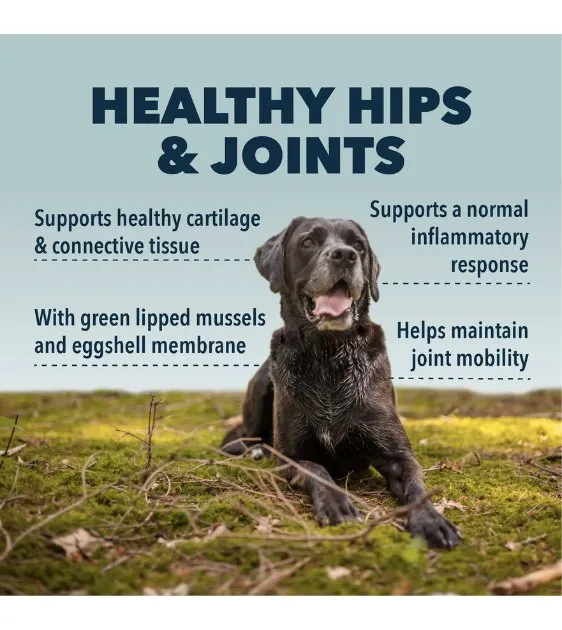 Four Leaf Rover Hip & Joint Natural Joint Support Dog Supplements