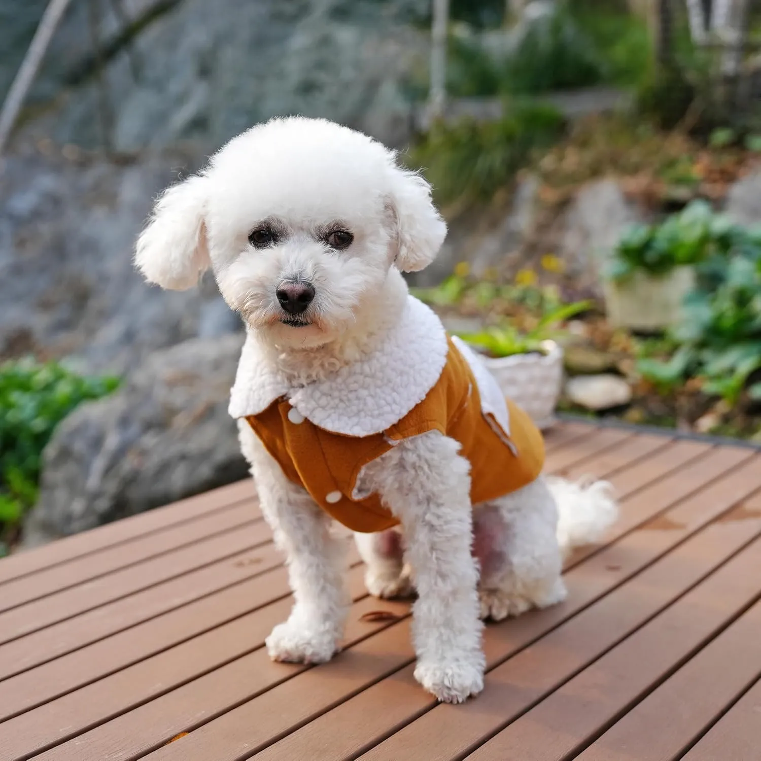 French Bulldog Clothes Frenchie Clothes, Snaps Closure Dog Winter Coat Jacket for Small Medium Dogs, Fleece Warm Dog Sweaters for Small Dogs Boy Girl,Beige,L