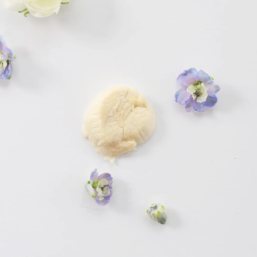 Hokkaido Scallop