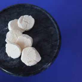 Hokkaido Scallop