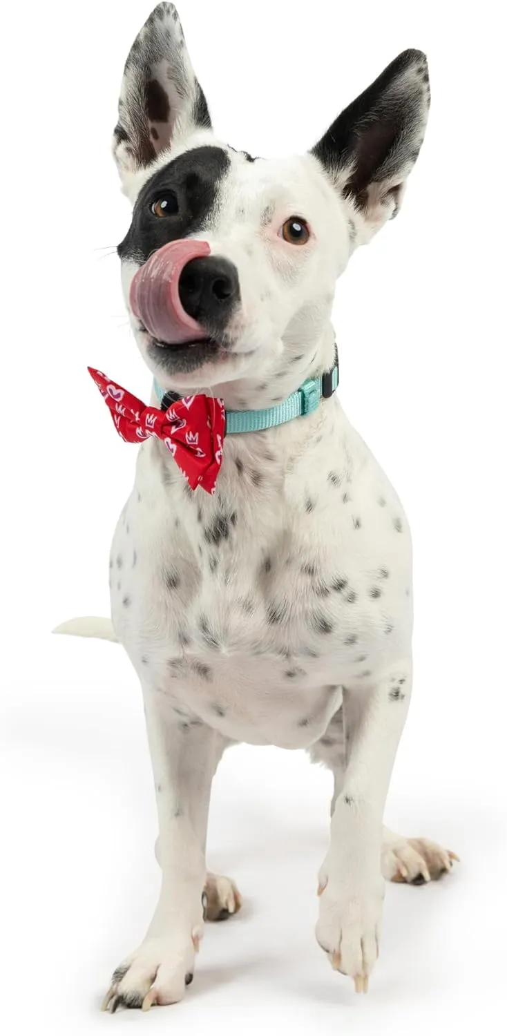 Huxley & Kent King & Queen of Heart Bow Tie - Small