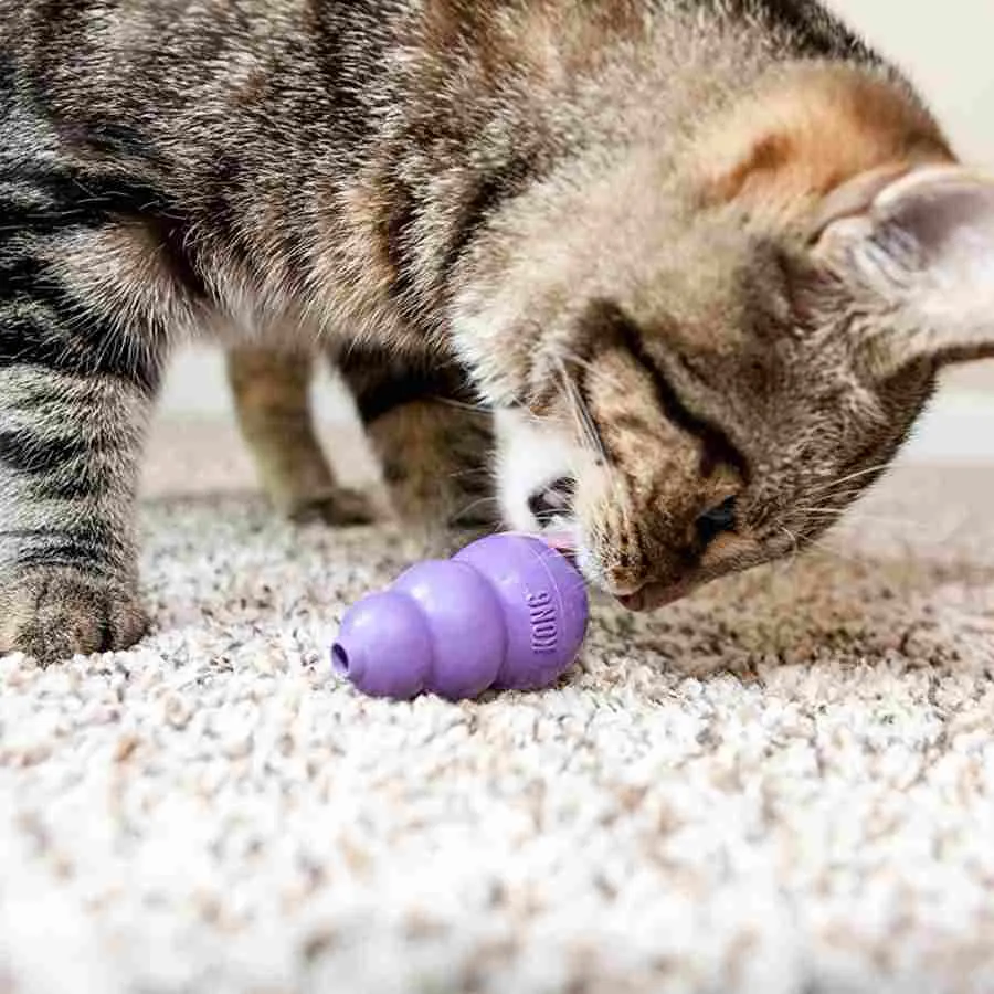 KONG cat toys- Kitty Kong