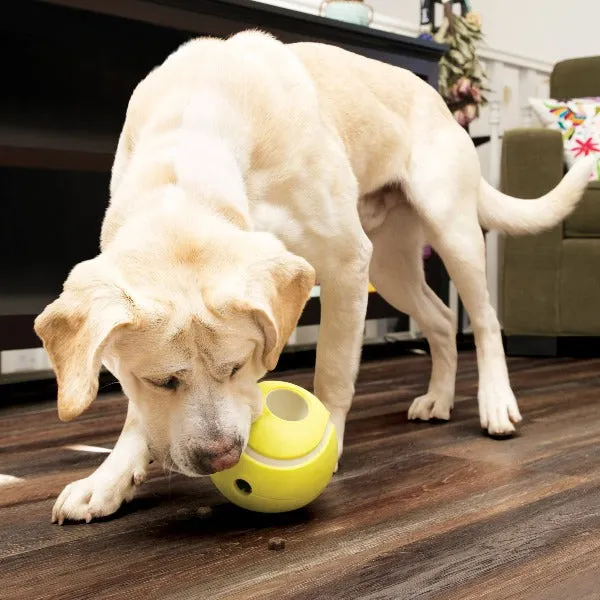 KONG Rewards Tennis Treat Dispensing Dog Toy