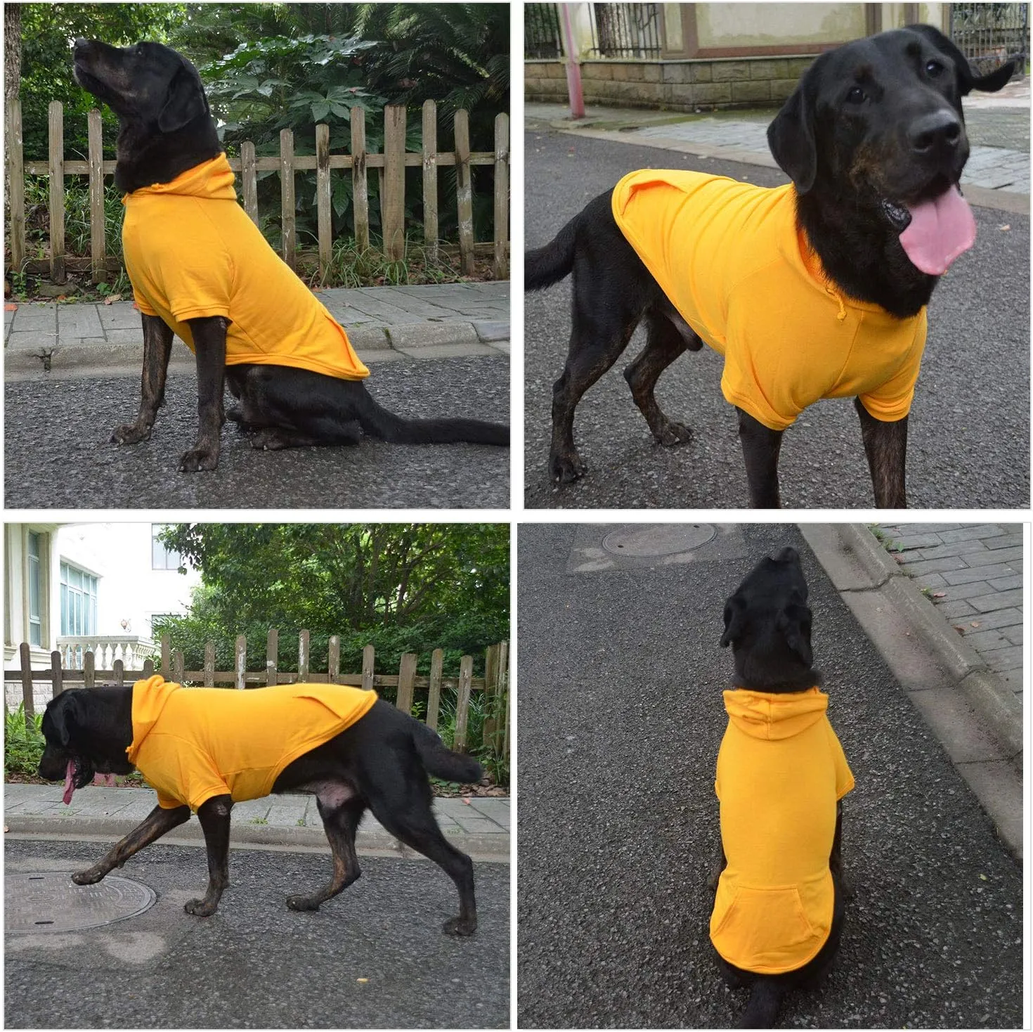Lovelonglong Blank Basic Hoodie Sweatshirt for Dogs 100% Cotton Fits Small Medium Dachshund Large Dog Orange M