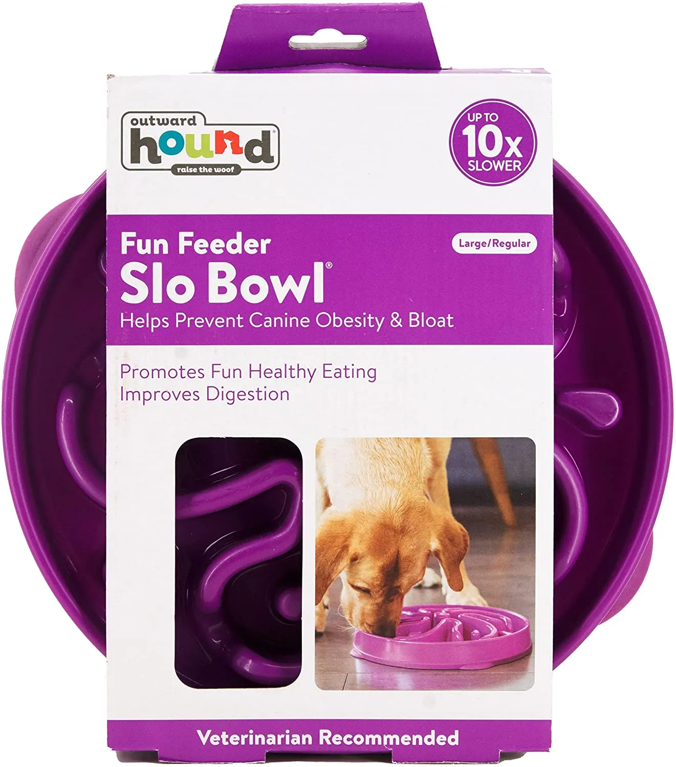 Outward Hound Dog Bowl Kyjen Fun Feeder Slow Feed Interactive Bloat Stop Purple