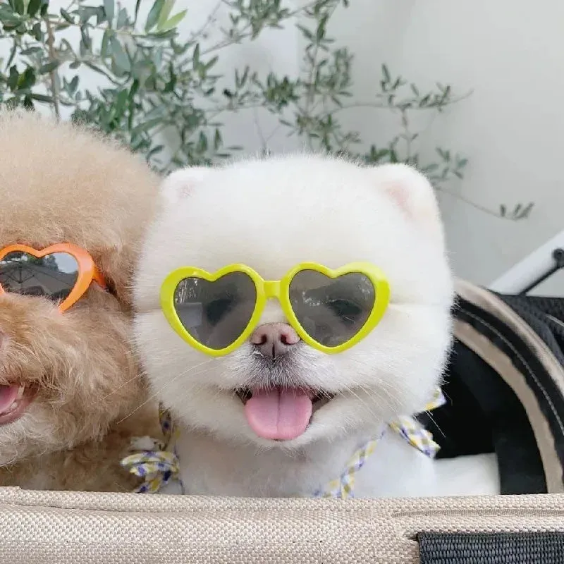 Pat and Pet Emporium | Pet Glasses | Pet Dogs Cats Sunglasses