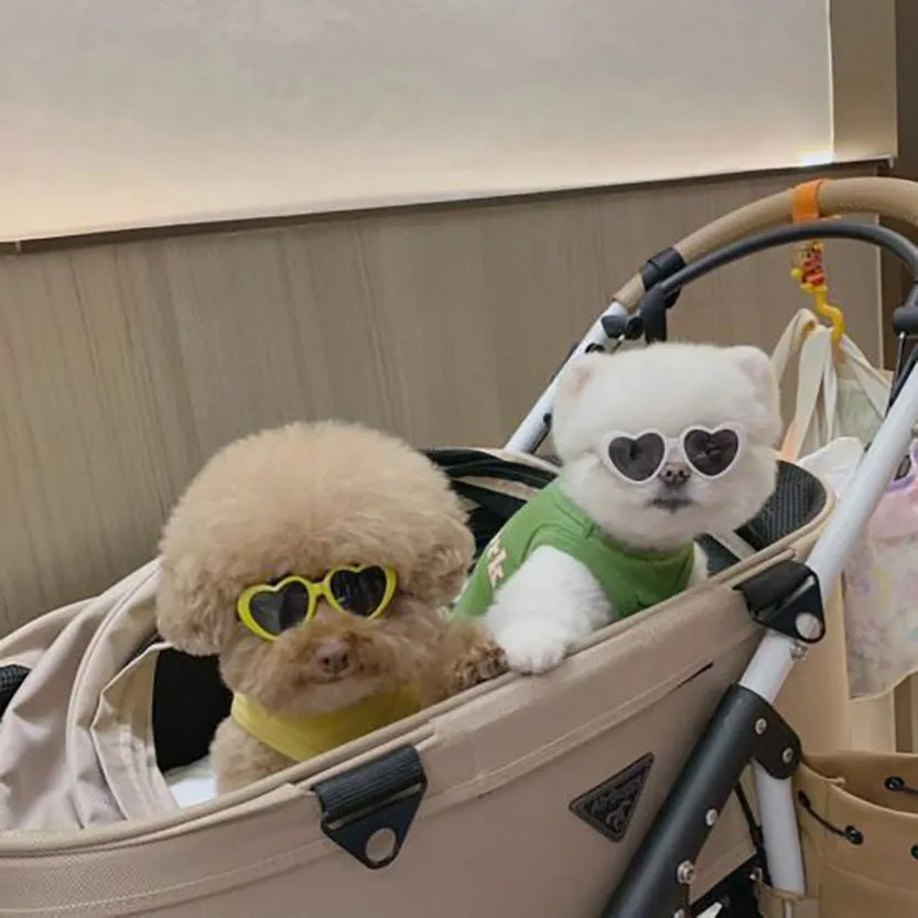 Pat and Pet Emporium | Pet Glasses | Pet Dogs Cats Sunglasses