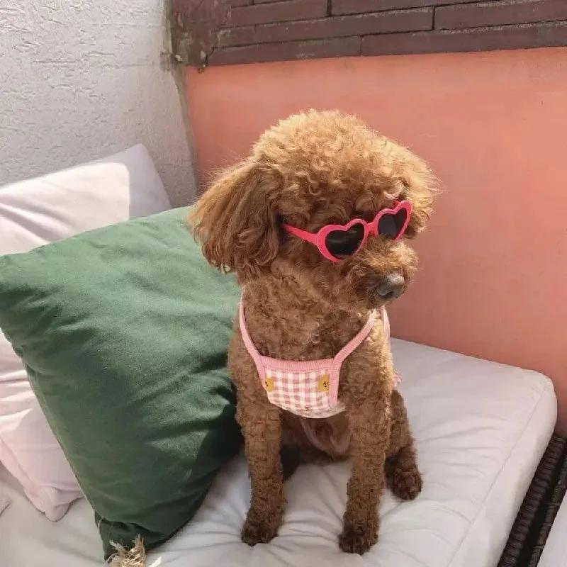 Pat and Pet Emporium | Pet Glasses | Pet Dogs Cats Sunglasses