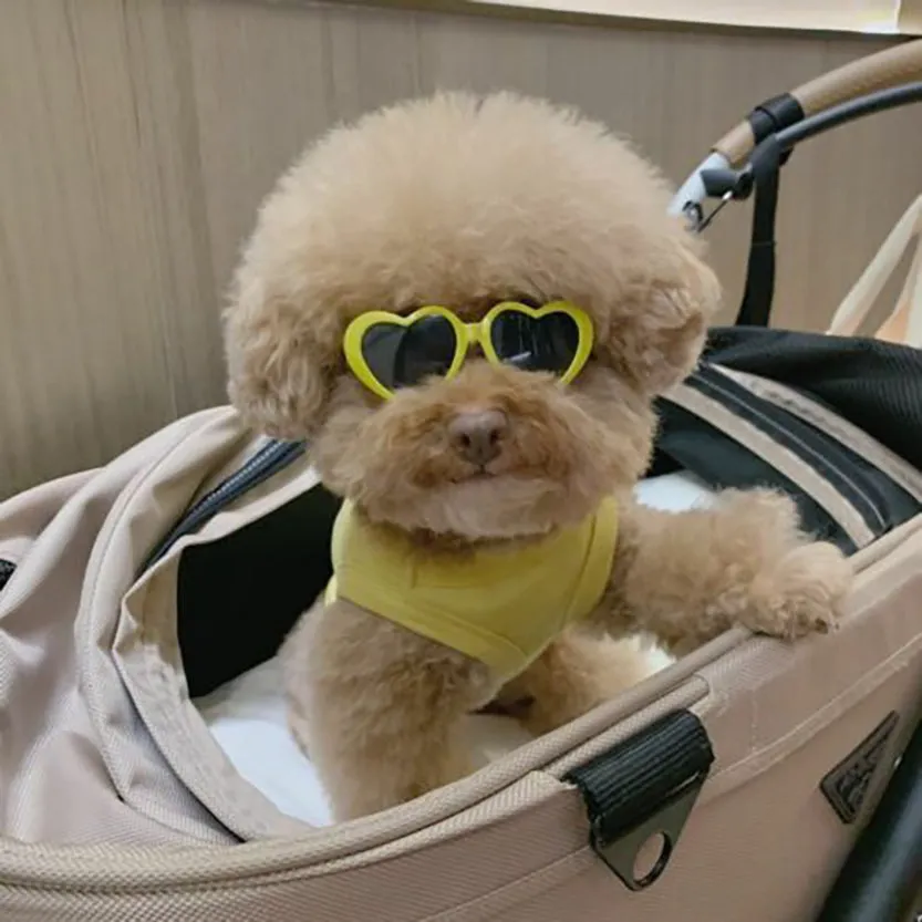Pat and Pet Emporium | Pet Glasses | Pet Dogs Cats Sunglasses