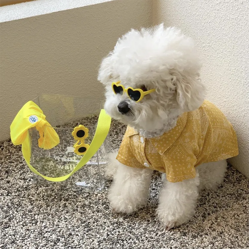 Pat and Pet Emporium | Pet Glasses | Pet Dogs Cats Sunglasses