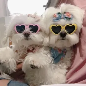 Pat and Pet Emporium | Pet Glasses | Pet Dogs Cats Sunglasses