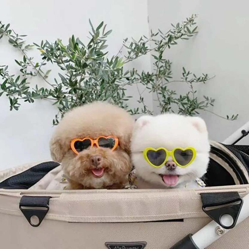 Pat and Pet Emporium | Pet Glasses | Pet Dogs Cats Sunglasses