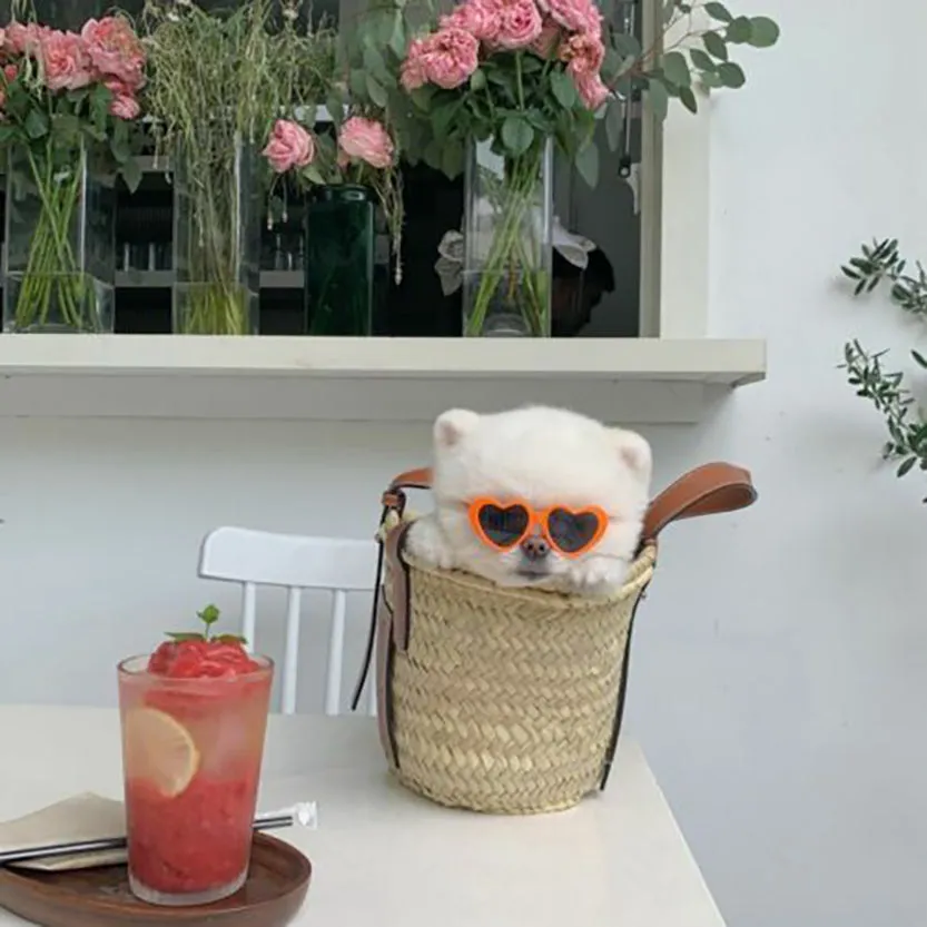Pat and Pet Emporium | Pet Glasses | Pet Dogs Cats Sunglasses
