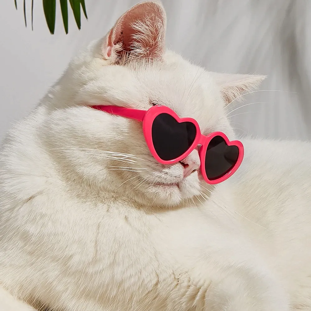 Pat and Pet Emporium | Pet Glasses | Pet Dogs Cats Sunglasses