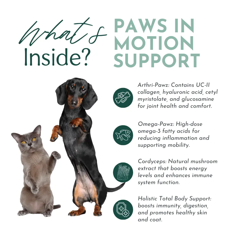 Paws in Motion Support - Joint Health