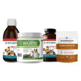 Paws in Motion Support - Joint Health