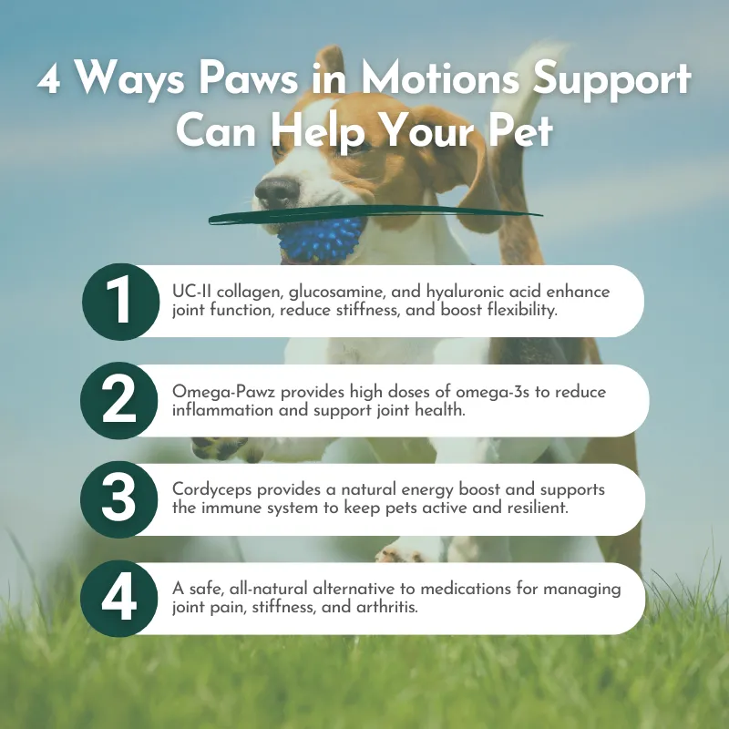 Paws in Motion Support - Joint Health