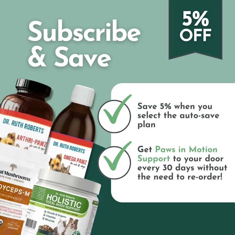 Paws in Motion Support - Joint Health