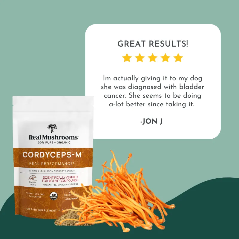 Paws in Motion Support - Joint Health