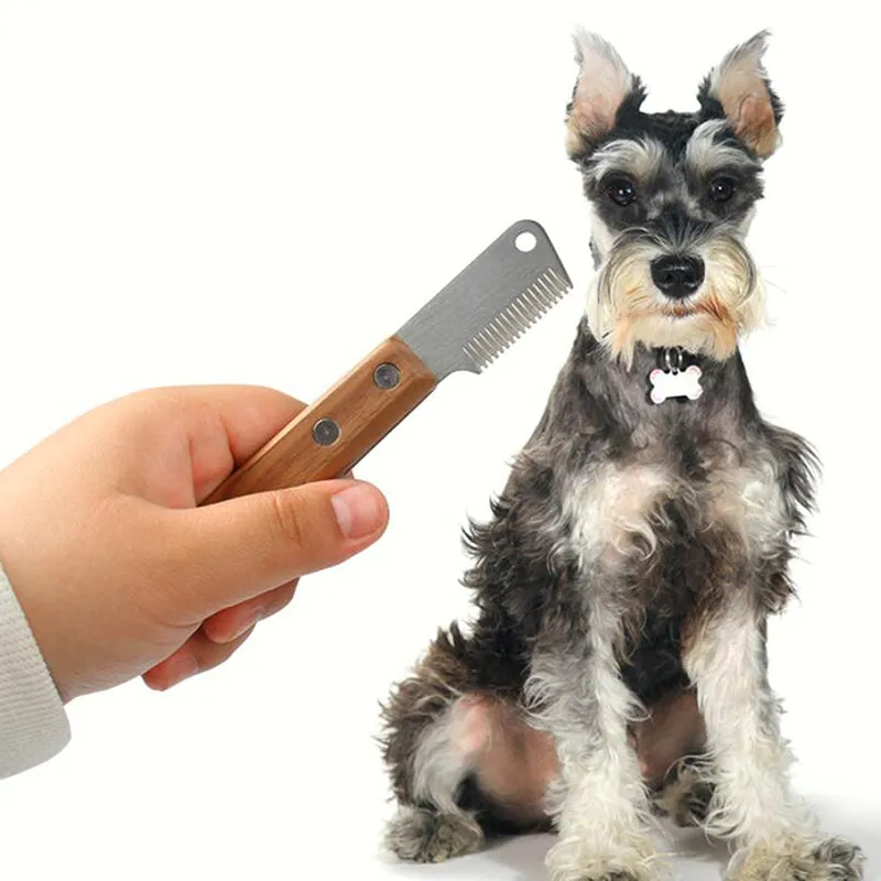 PET HAIR REMOVAL COMB 🔥 Pet Fun Time Sale - 50% OFF