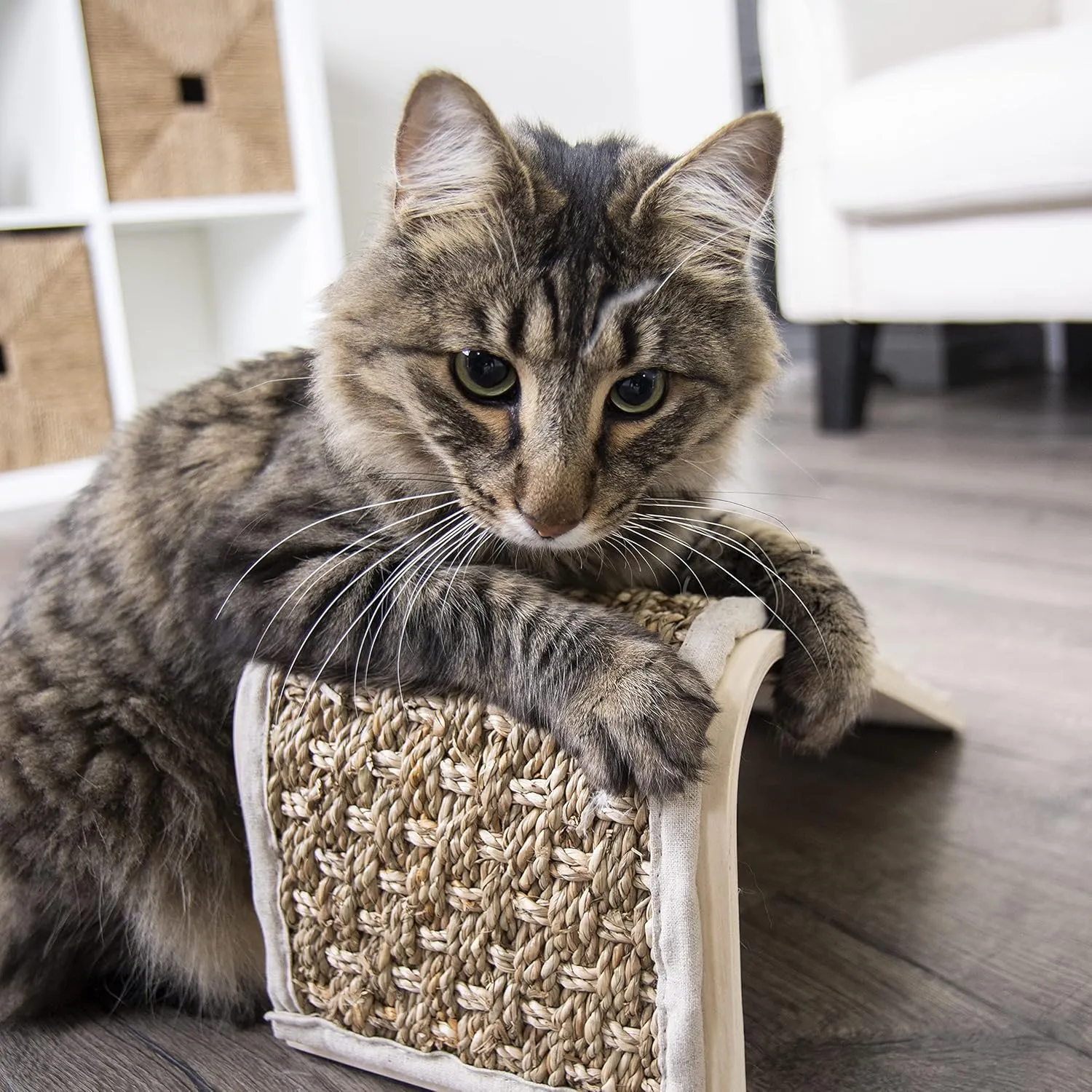 Petlinks Sea Ramp Seagrass Angled Cat Scratcher, Catnip Included - Randomly Selected Color, One Size