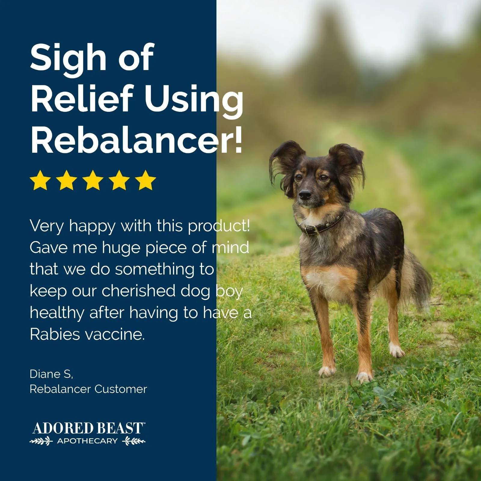 Rebalancer