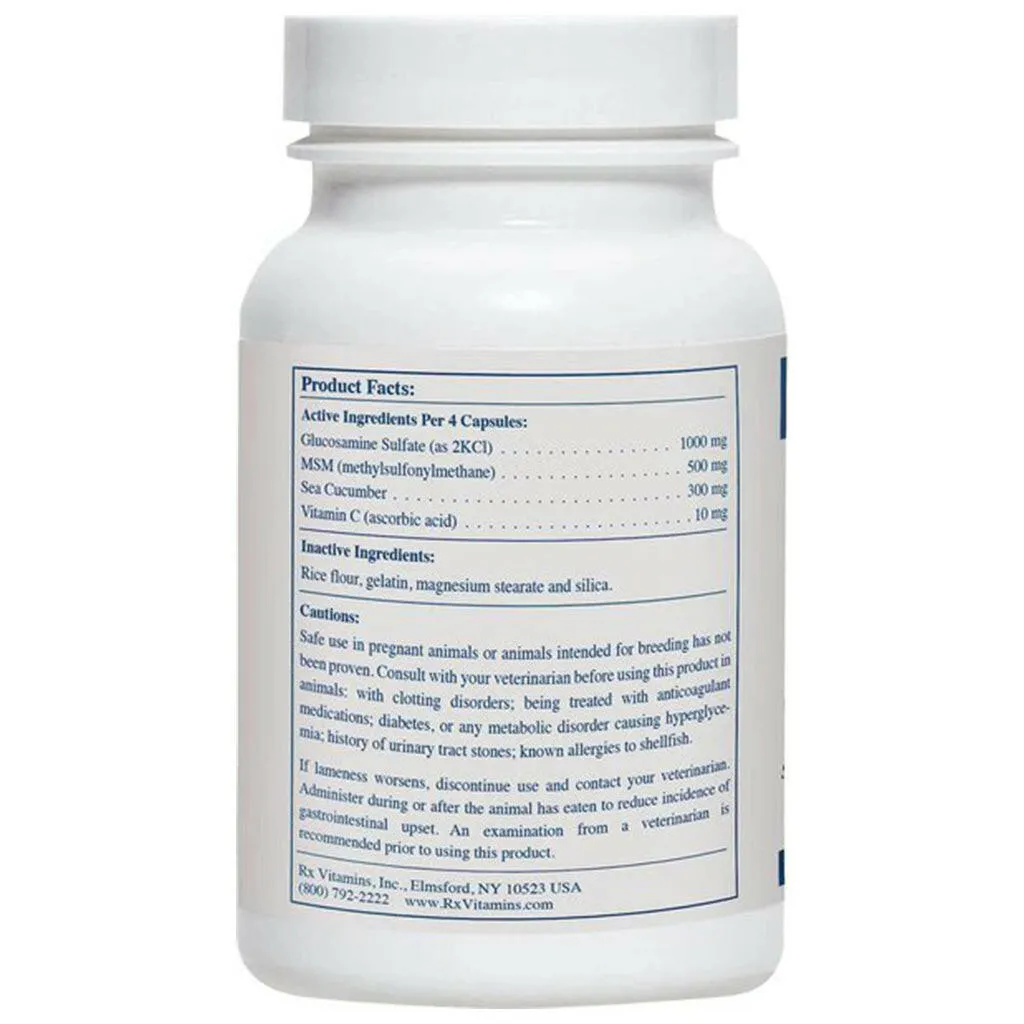 Rx Vitamins MegaFlex Joint Support for Dogs & Cats (600 capsules)