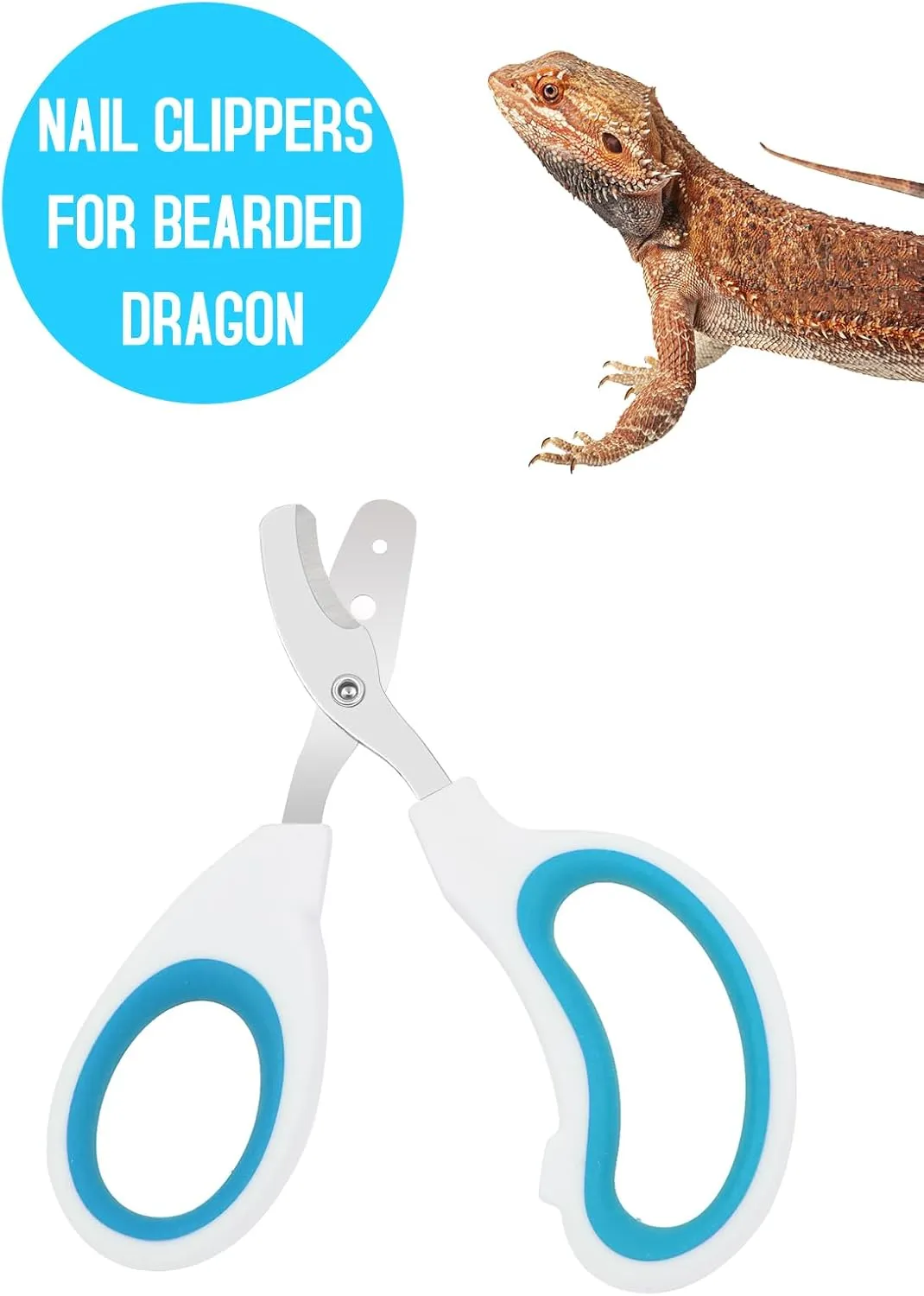 Stainless Steel Bearded Dragon Nail Clippers,Lizard Nail Clippers,Bearded Dragon Supplies,Bearded Dragon Nail Scissors for Small Reptiles,Turtle,Chameleon,IguanaHedgehogBlue