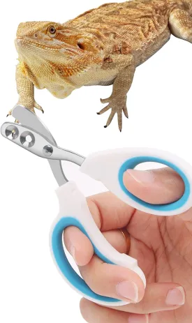 Stainless Steel Bearded Dragon Nail Clippers,Lizard Nail Clippers,Bearded Dragon Supplies,Bearded Dragon Nail Scissors for Small Reptiles,Turtle,Chameleon,IguanaHedgehogBlue