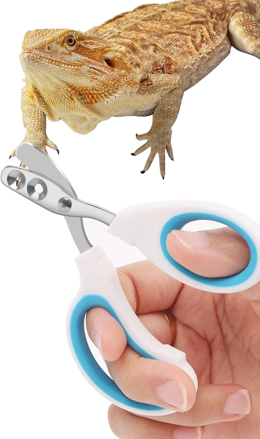 Stainless Steel Bearded Dragon Nail Clippers,Lizard Nail Clippers,Bearded Dragon Supplies,Bearded Dragon Nail Scissors for Small Reptiles,Turtle,Chameleon,IguanaHedgehogBlue
