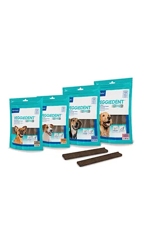 Veggiedent FR3SH Dental Chews for Dogs