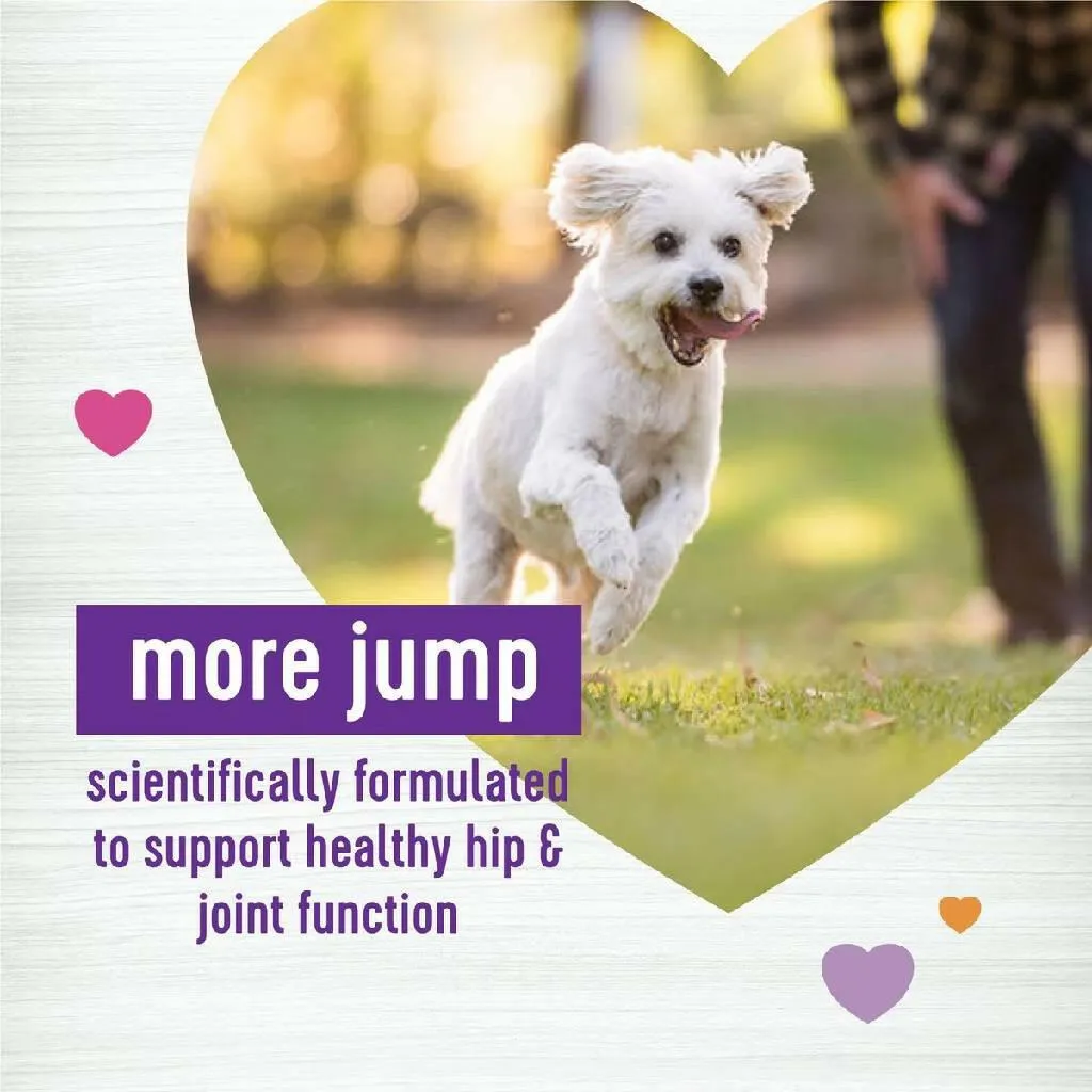 Wellness Move Hip & Joint Support Chicken Flavor Chew Supplement for Dogs